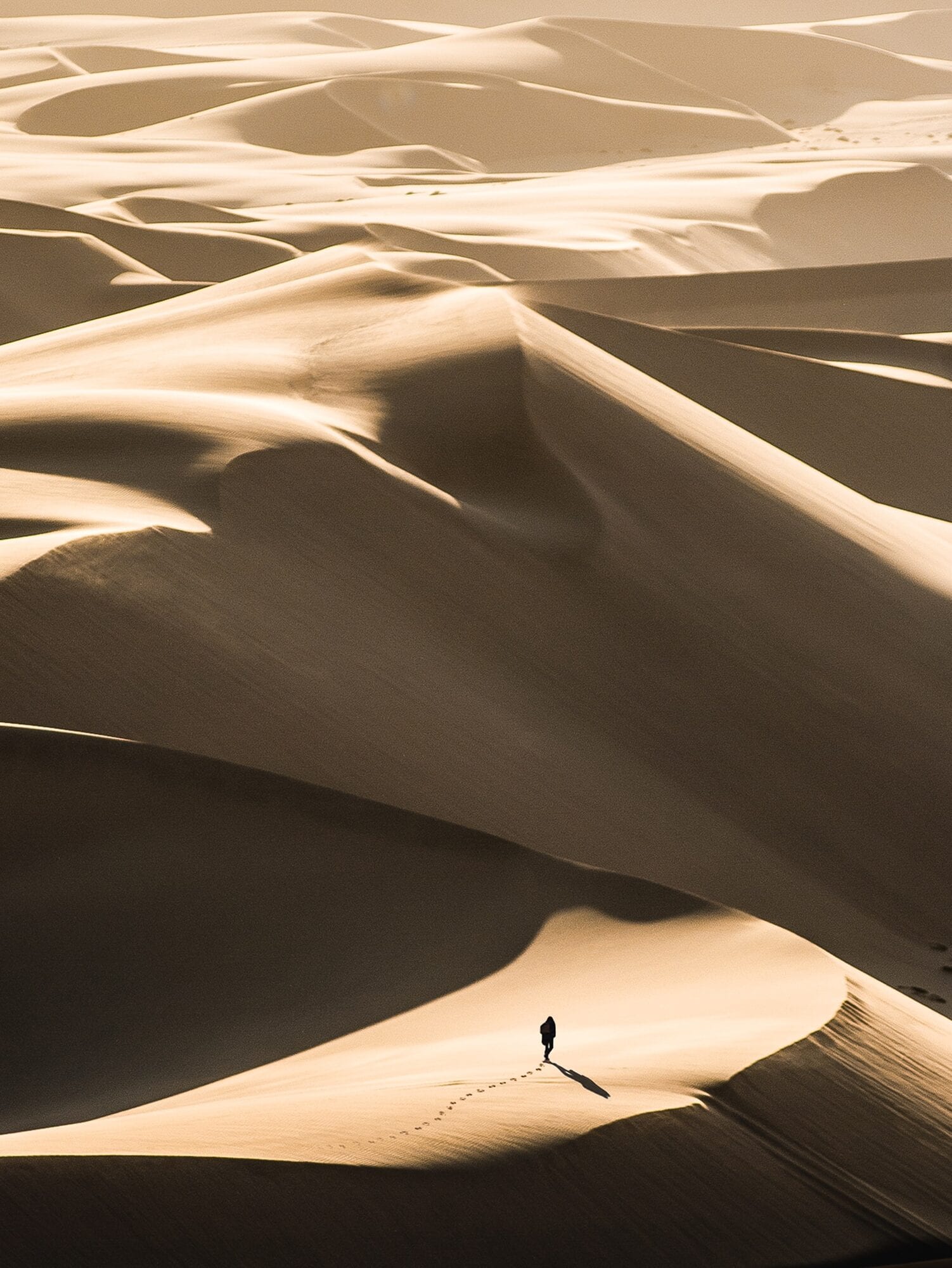 Lone golfer teeing off at Rossmund with red Namib dunes beyond the fairway