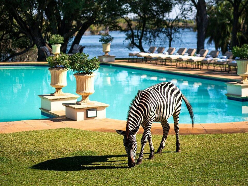 Riverside lodge deck above the Zambezi near Livingstone