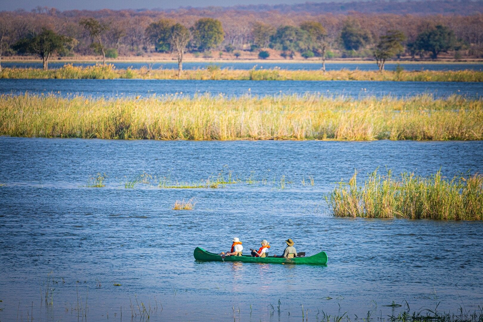 Canoe safari past elephants on the Zambezi floodplain