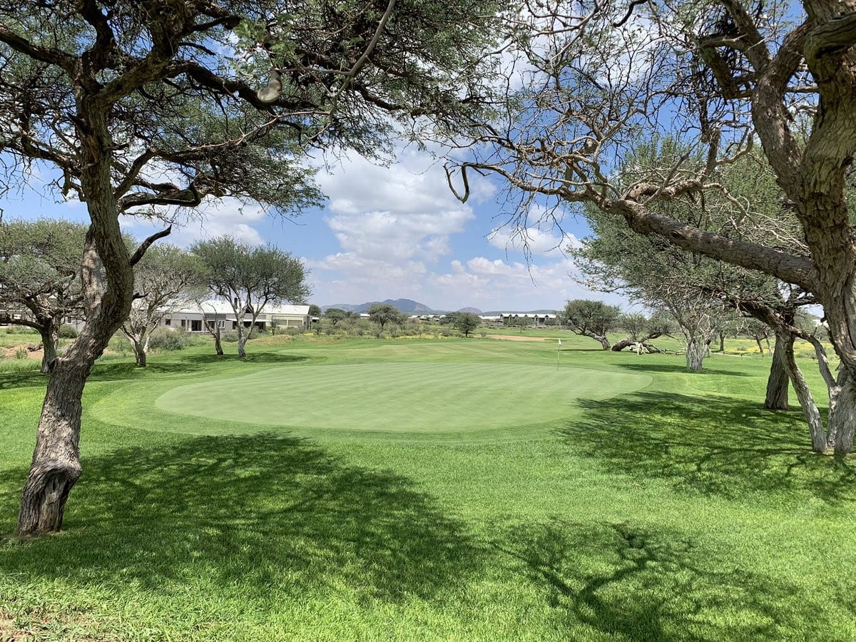 Omeya fairway with antelope and camel-thorn