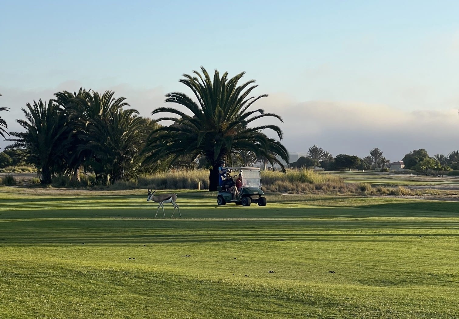 Rossmund emerald fairway hemmed by red Namib desert, Swakopmund