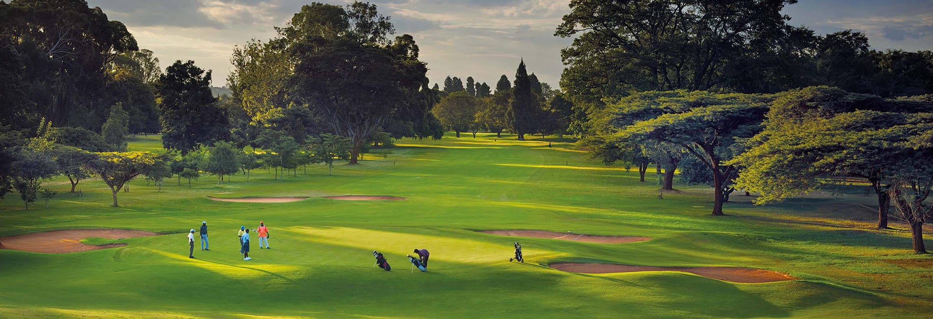 Royal Harare tree-lined parkland fairway, Zimbabwe