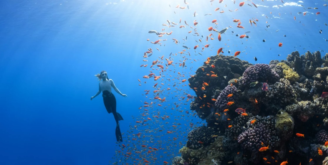 Catamaran and snorkelling day Mauritius golf tour