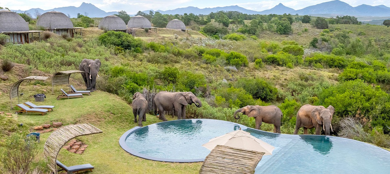 Gondwana Game Reserve Big Five safari