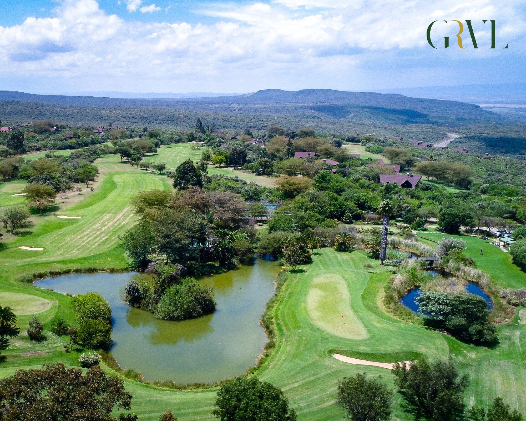 Golfer driving at Great Rift Valley Resort, zebra and Lake Naivasha beyond