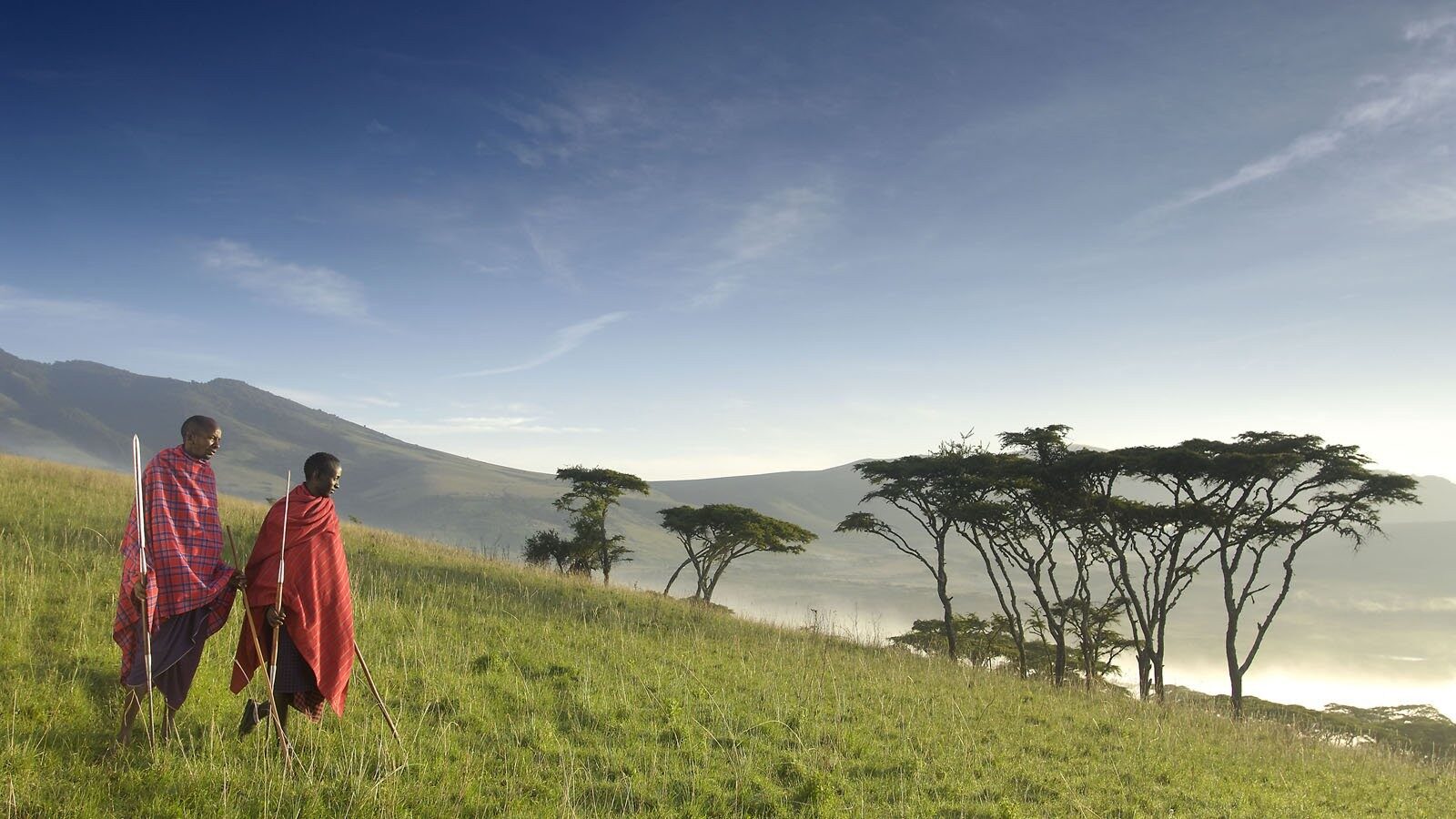 Wildebeest columns to the horizon, Serengeti