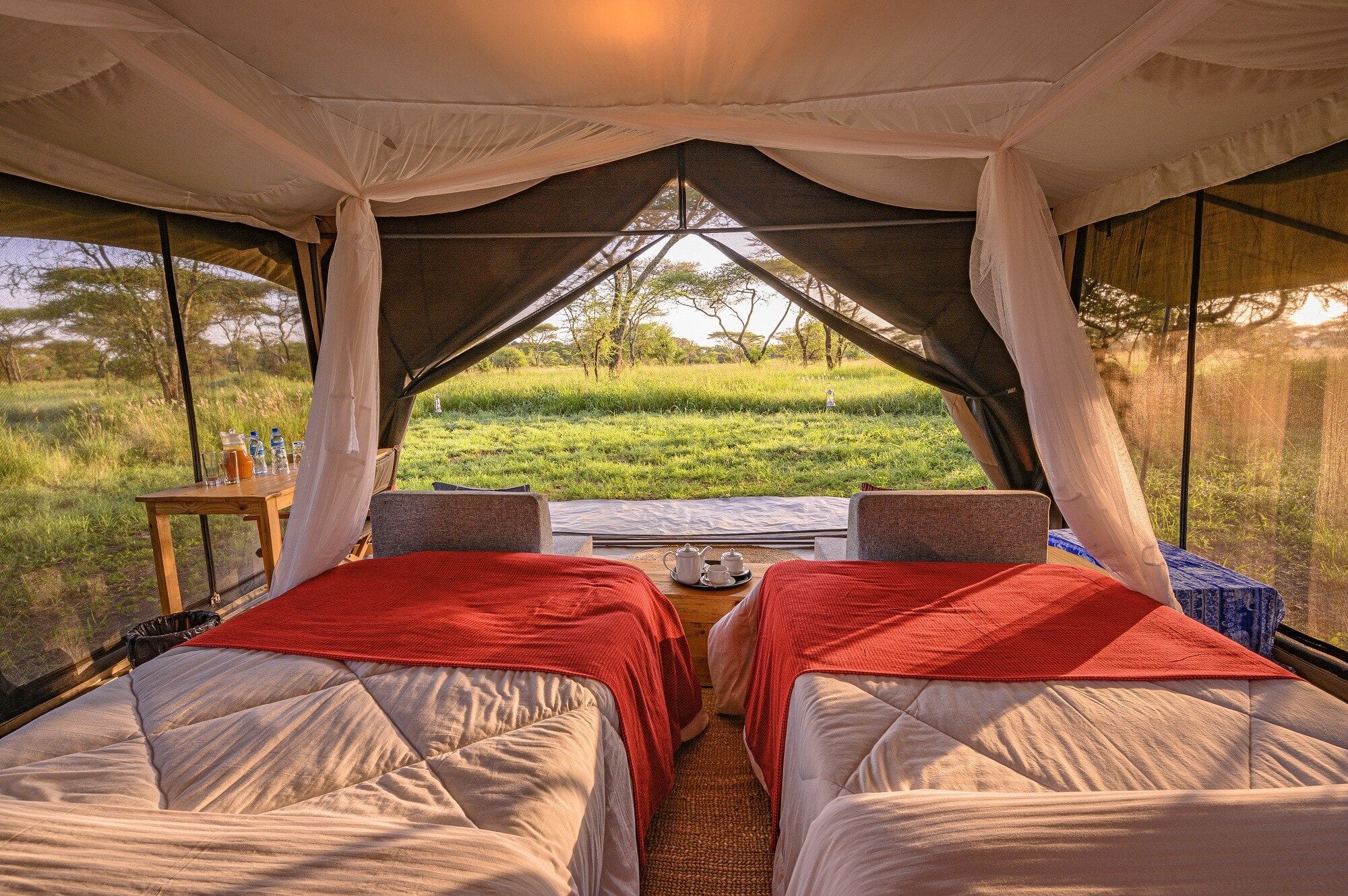 Mobile camp under acacia, Serengeti