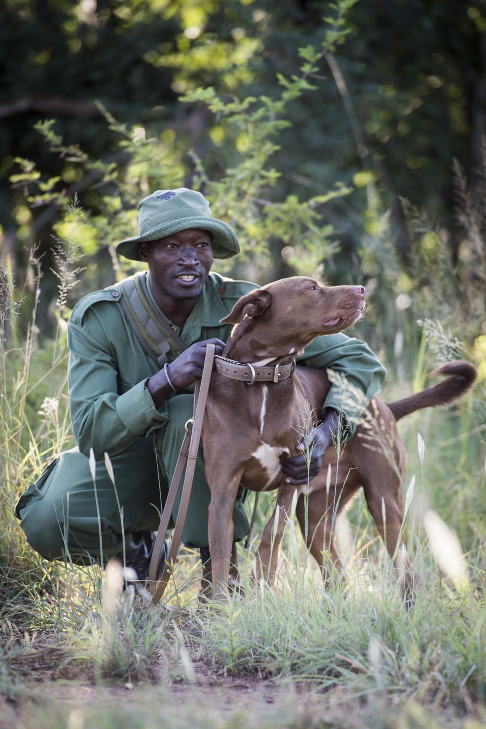 Anti-poaching K9 unit encounter