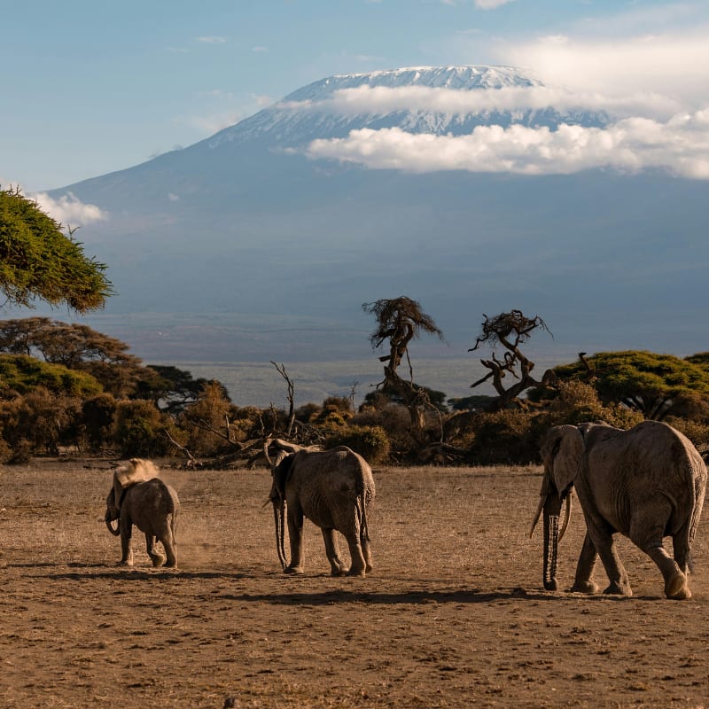 Dr Paula Kahumbu conservation encounter