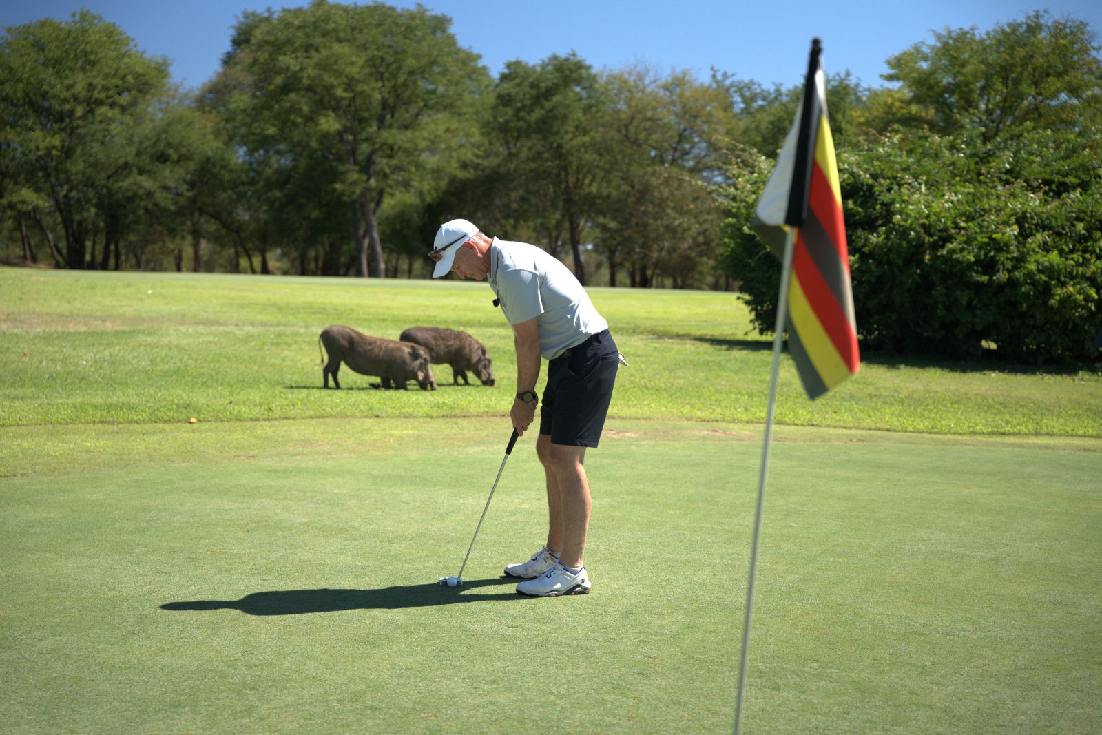Golf safari in Africa — championship golf beside the wild