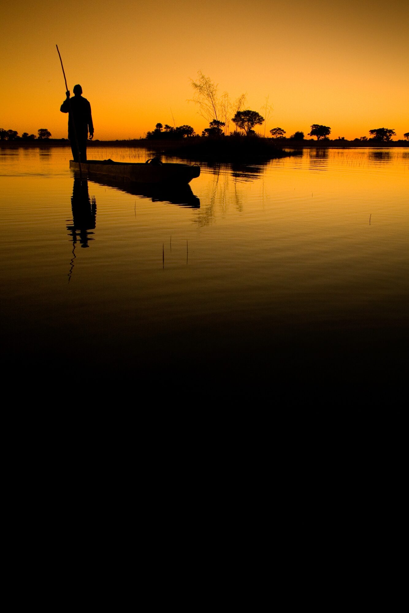 Elephants drinking at the Chobe riverfront at dusk, boat in foreground