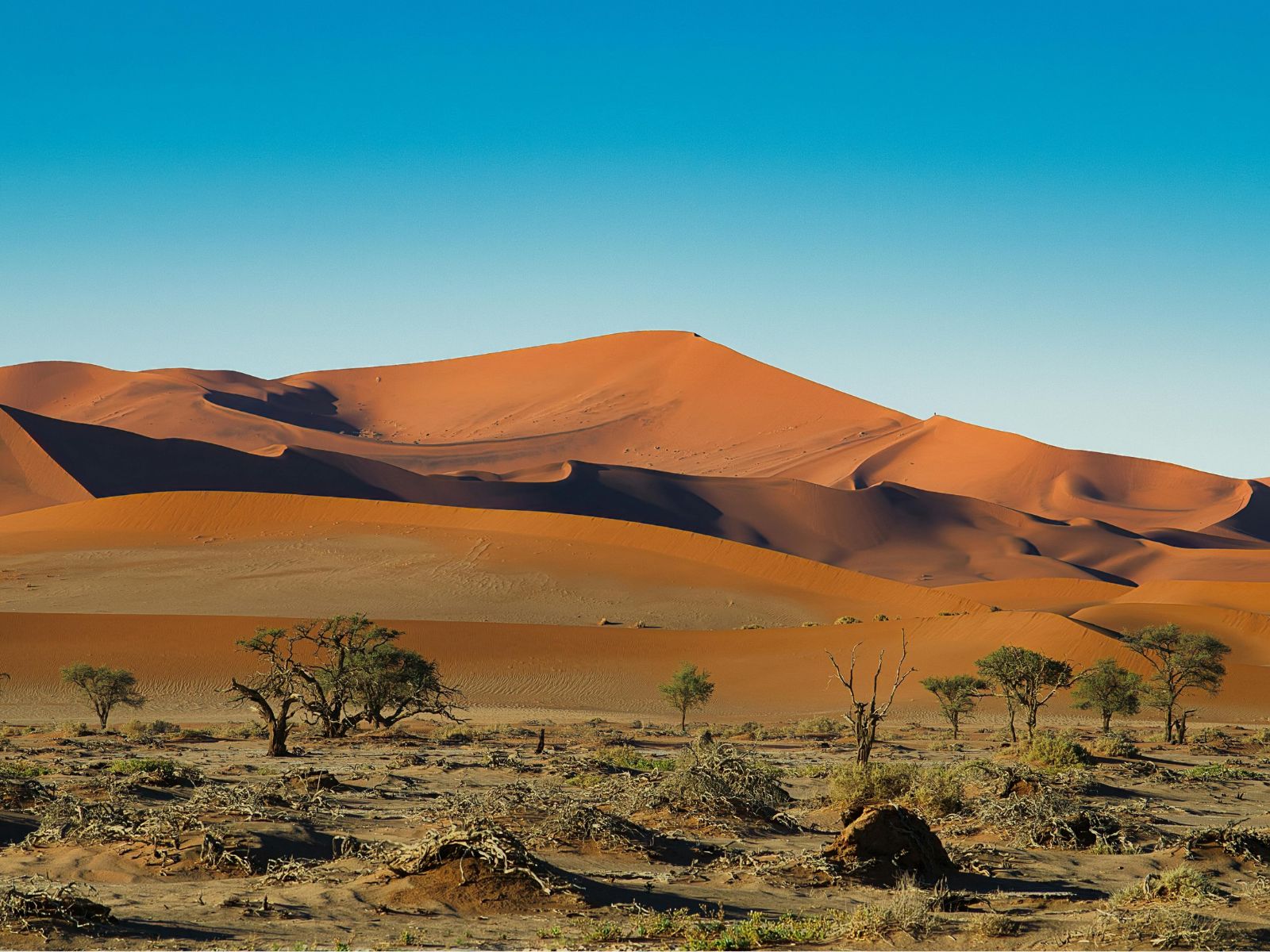 Desert, Delta & Dunes — Namibia, Botswana & Zimbabwe