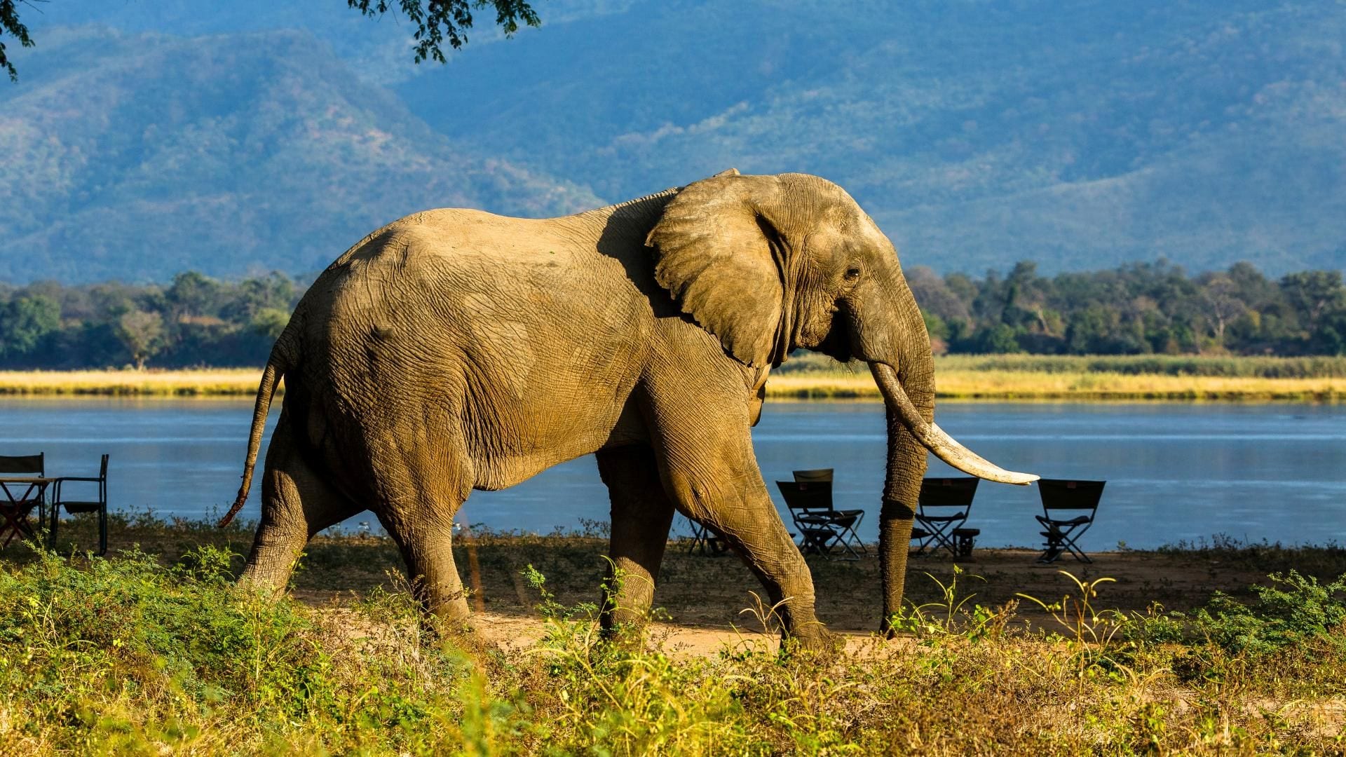 Mountain to River — Zimbabwe