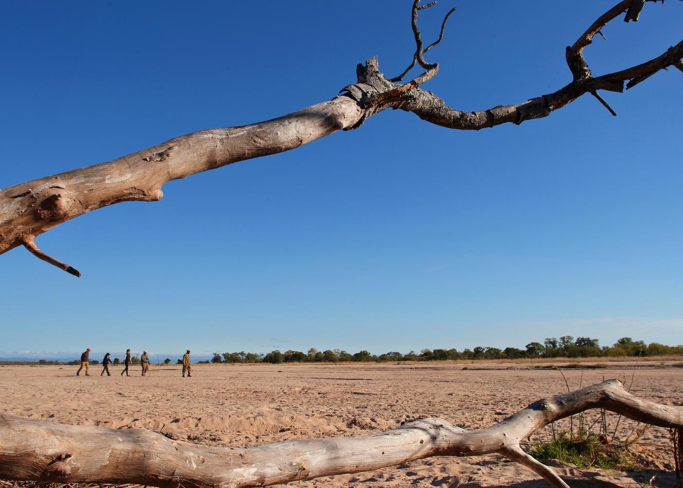 The Walking Safari — Zambia