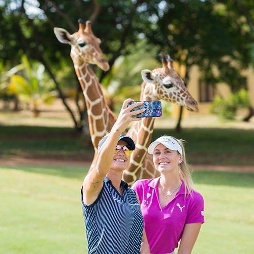 Ladies golf safari groups Africa