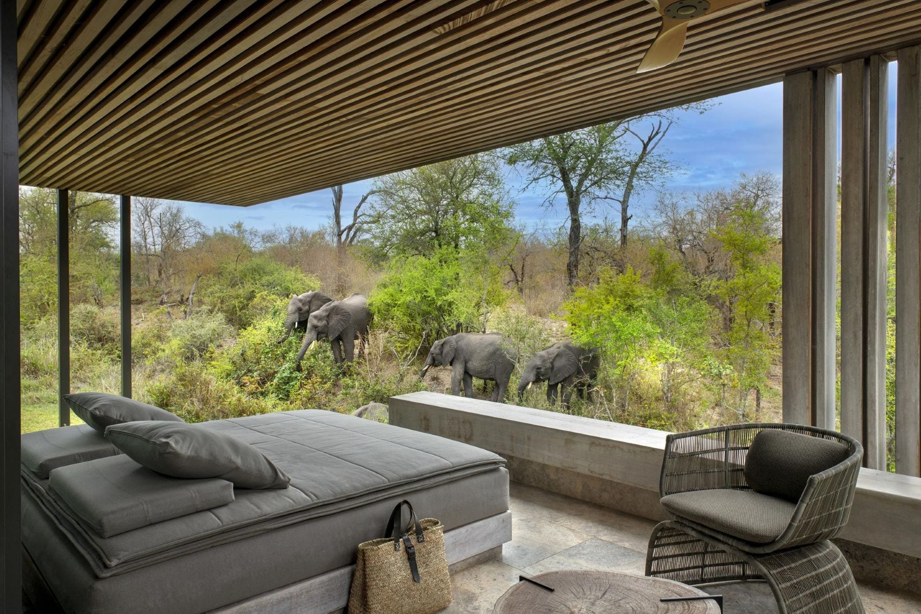 Cheetah Plains contemporary villa and pool in the Sabi Sand