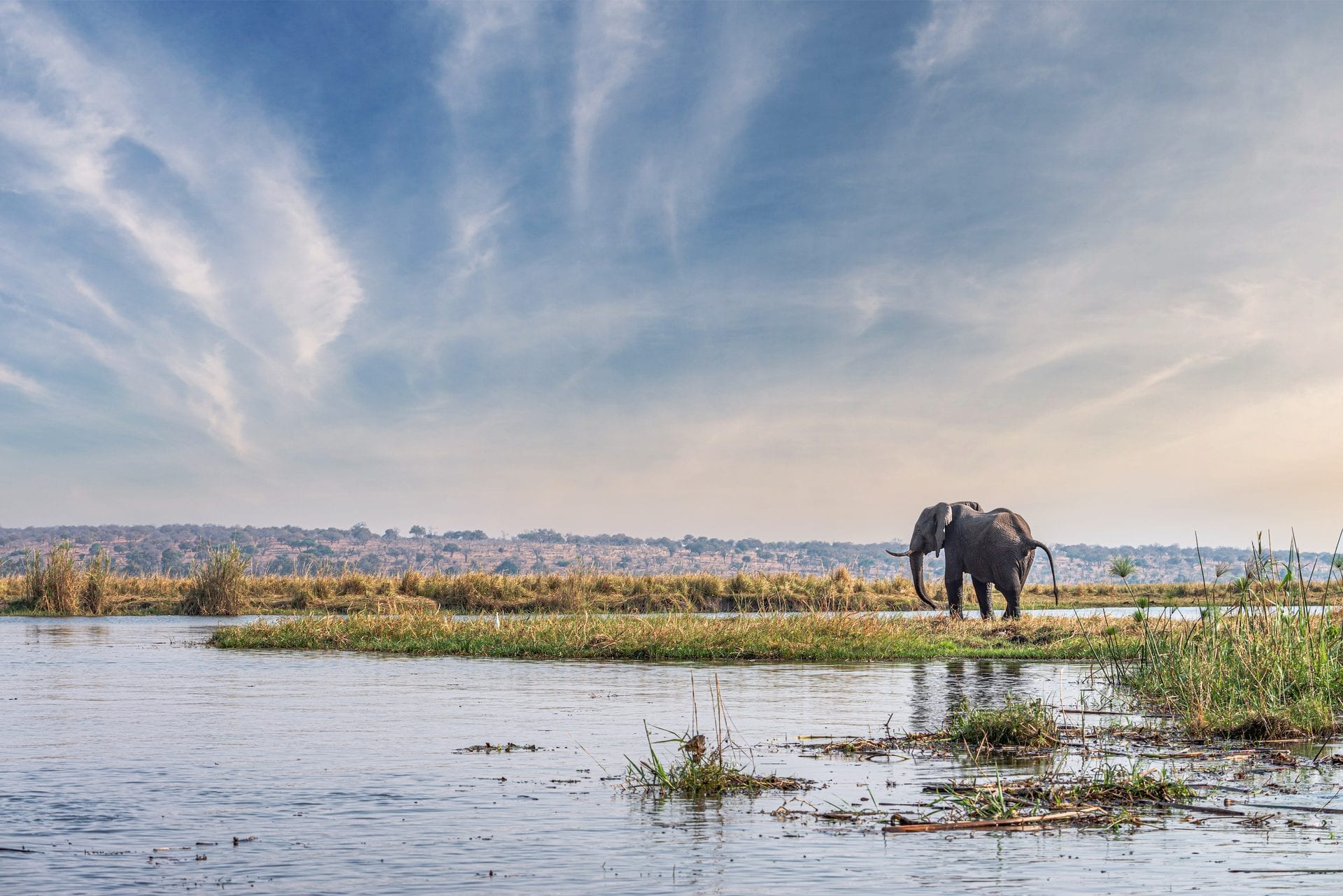 Chobe Chilwero view over the Chobe River and elephant herds