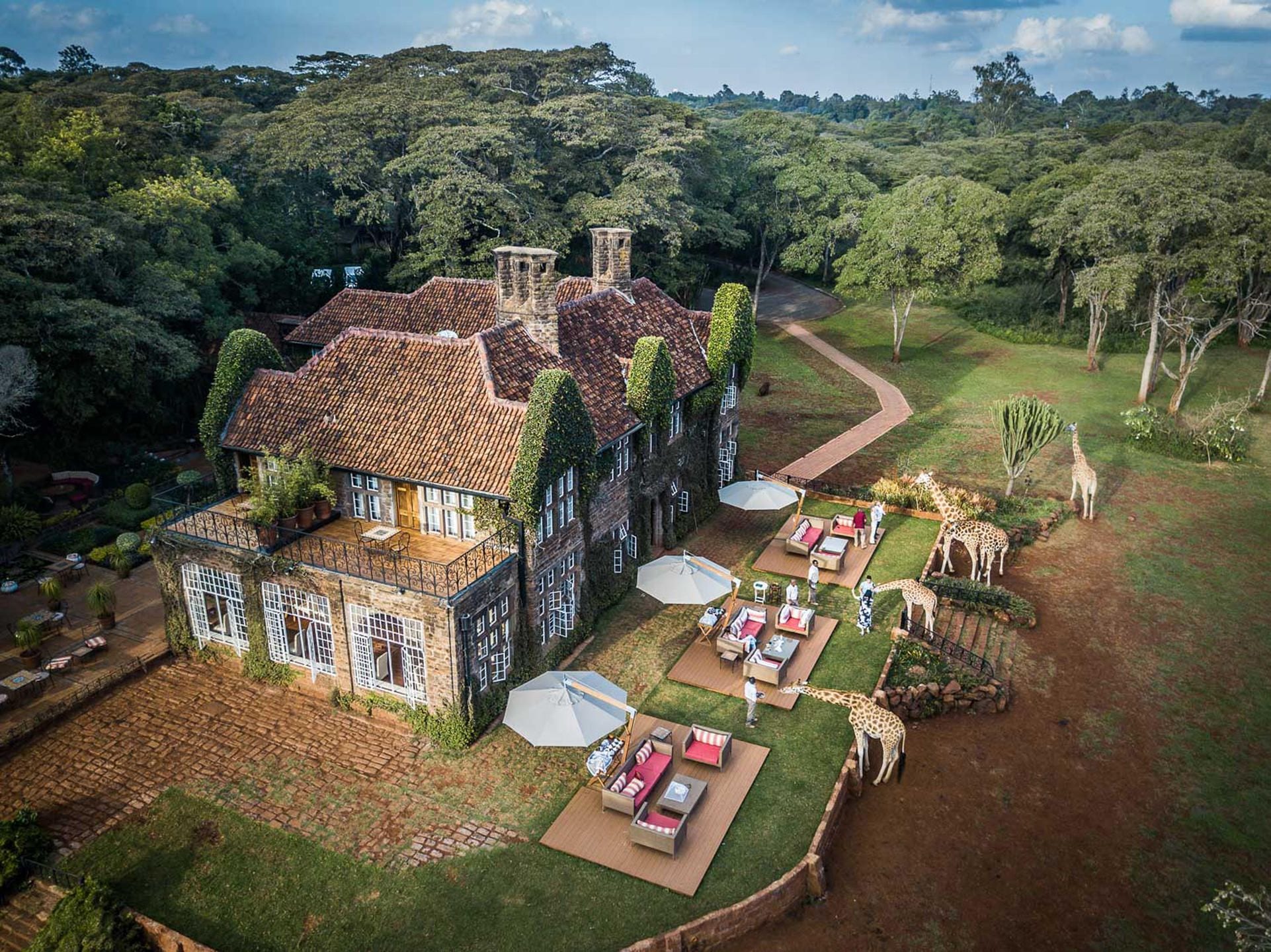 Giraffe Manor ivy-clad facade and lawn