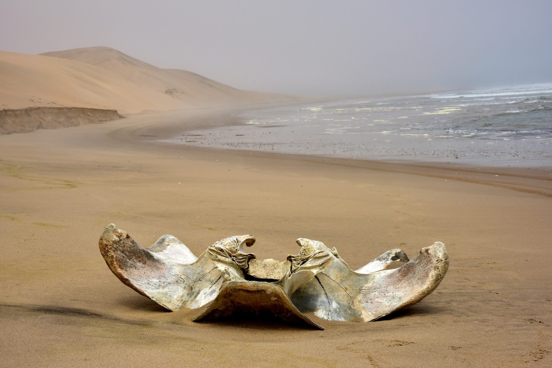 Hoanib Skeleton Coast Camp in the desert valley, Namibia