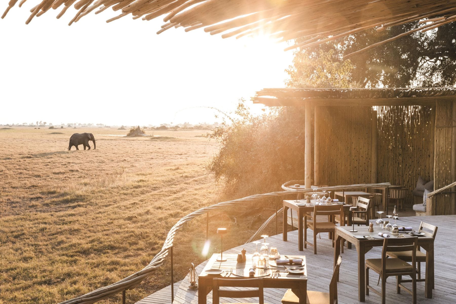 Mombo Camp game viewing, Okavango Delta