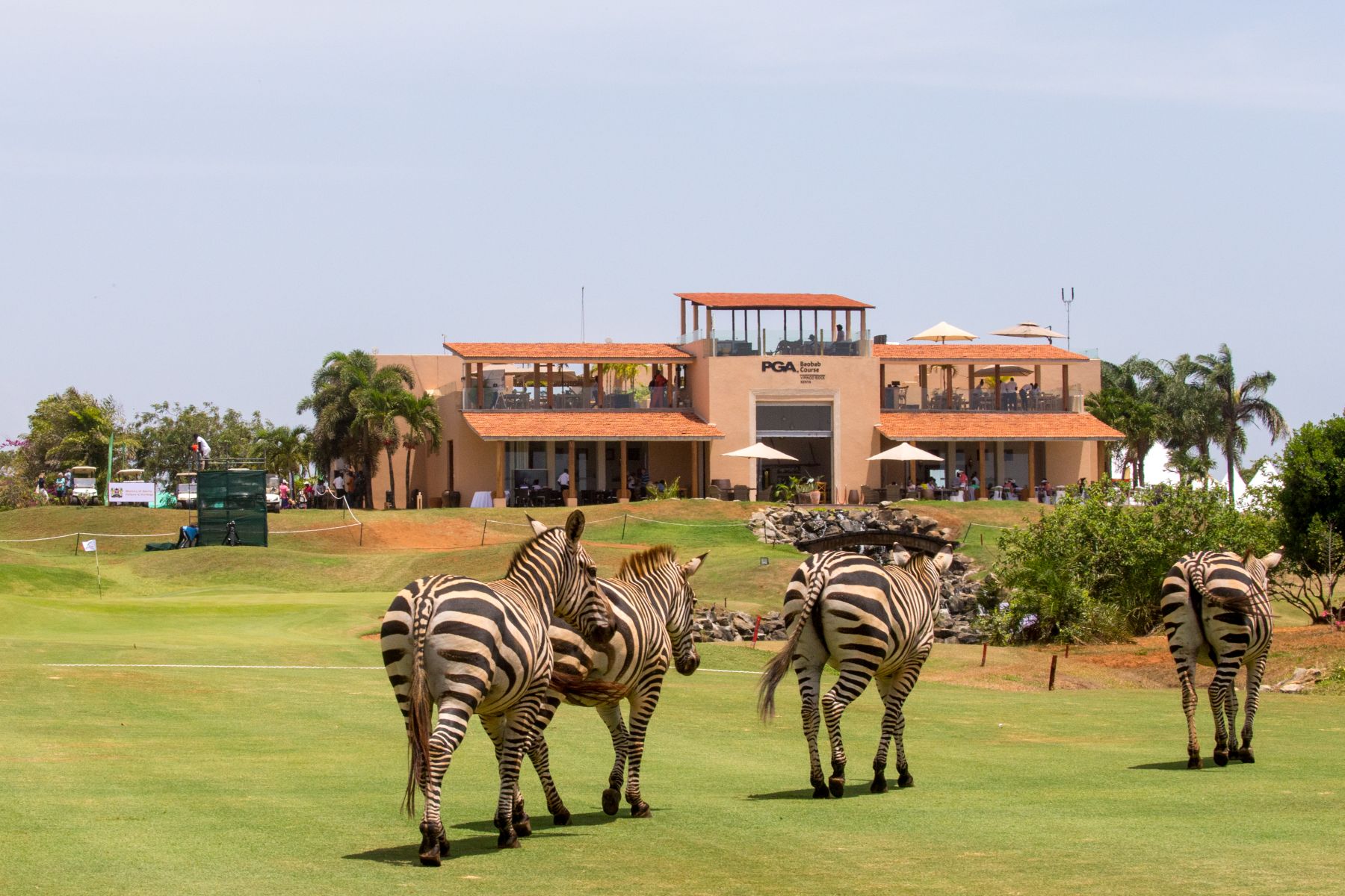 Championship golf in the African wild