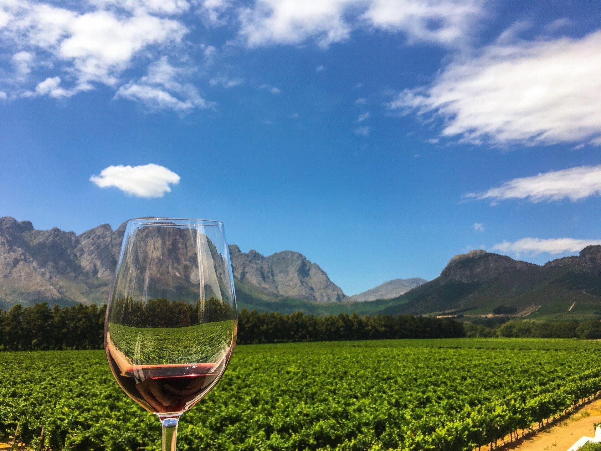 Winelands fairway with Stellenbosch mountains and vineyards behind